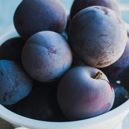 Perfect Plants Methly Plum Tree Live Plant, Produces Fruit, 4-5ft, Includes Care Guide