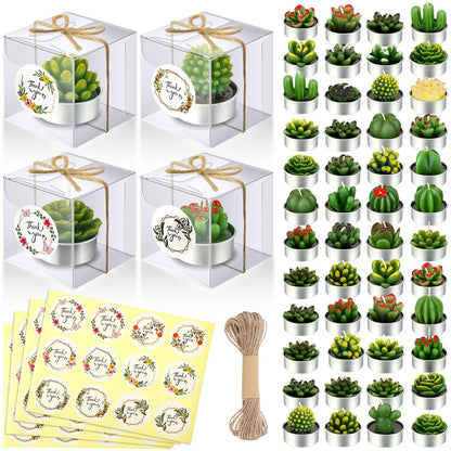 MTLEE 48 Sets Cactus Tealight Candle Gift Delicate Succulent Cactus Candle Mini Plant Party Favor for Valentine's Day Holiday Bridal Shower Fiesta Birthday Anniversary Celebration Wedding