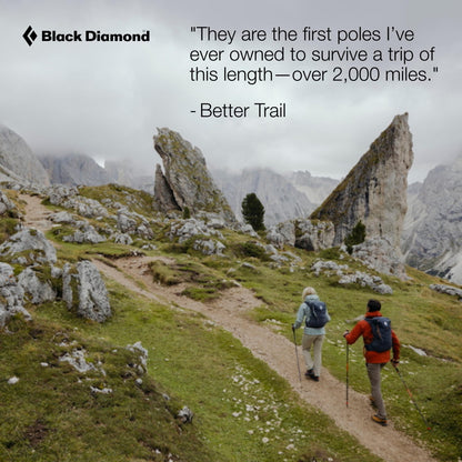 BLACK DIAMOND Pursuit Trekking Poles (Pair) | Natural Cork Grips | FlickLock Adjustable Aluminum Shafts | for Hiking & Backpacking | Charcoal-Foam Green | Medium/Large