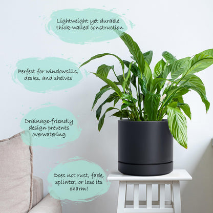 Phoenix Vine 6 Inch Planter Pot with Drainage Hole & Saucer, Deep Water Catch Tray, Straight Cylindrical Round Pot for Plants, Matte Black, Pack of 2, 23-C-S-2