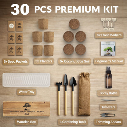 AVERGO Bonsai Tree Kit Classic - 5X Unique Japanese Bonzai Trees | Complete Indoor Bonsai Starter Kits for Growing Trees – DIY Gardening Gifts for Mother's Day, Women & Men