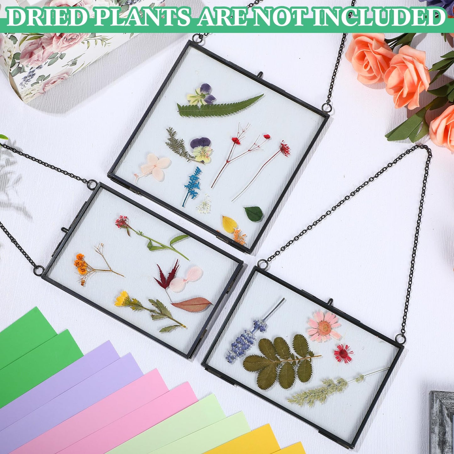 Geetery 9 Pcs Glass Frame for Pressed Flowers 6x4 4x6 6x6 in Black Hanging Picture Frames Metal Floating Double Glass Display Frame with Chain for Dried Flower Plant Specimen DIY Artwork Wall Decor
