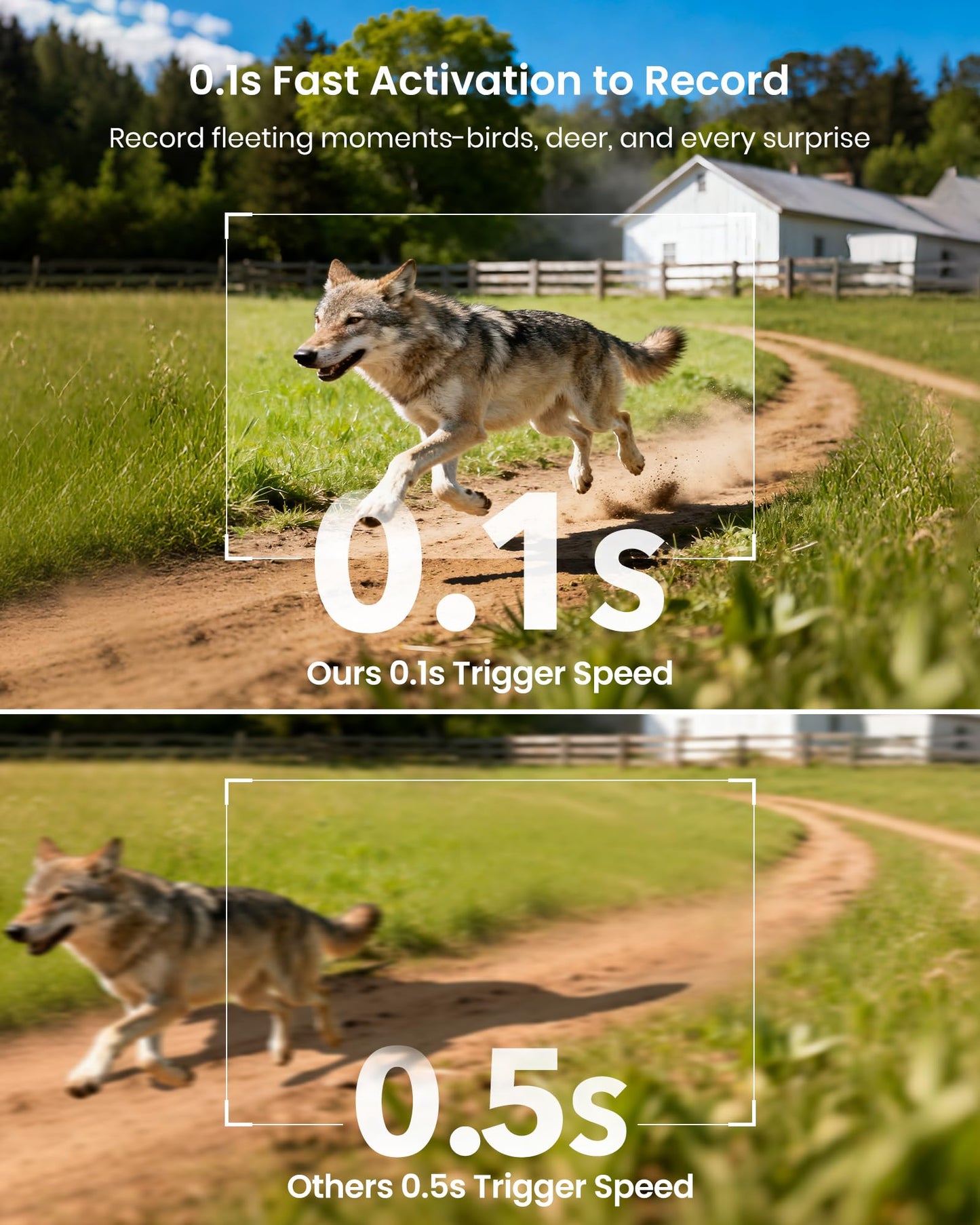 Misstech 4K UHD Solar Trail Camera, Outdoor Wildlife Cameras for Yard Monitoring, 0.1s Fast Motion-Activated to Record, 64MP/4K Clear Night Vision, No Monthly Fee, App Control, IP66, Local Storage