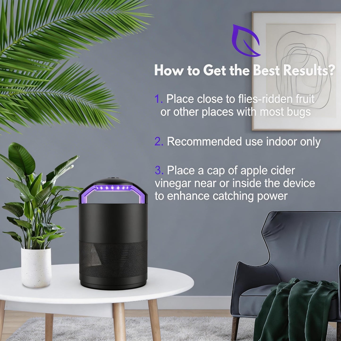 Fruit Fly Traps for Indoors, Catcher & Killer with Upgraded Purple Light, 3-Speed Fan Suction & Sticky Boards for Mosquito, Gnat & Moth, Electric Flying Insect Trap for Home, Kitchen, Bedroom, Plants