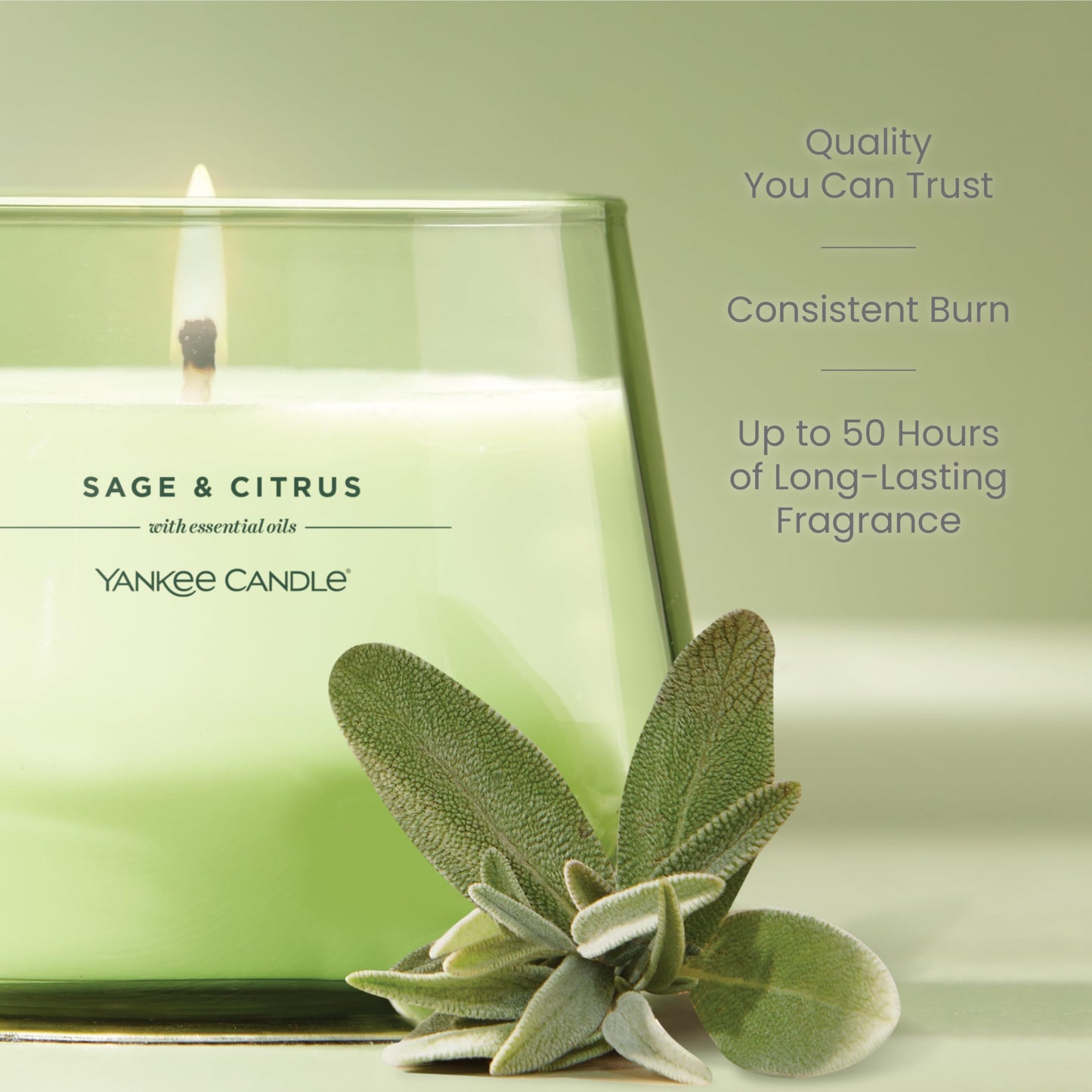 Yankee Candle Studio Scented Candle, Single Wick Jar Candle for Home Fragrance, Premium Plant Wax Blend, Long Lasting Burn, Sage & Citrus (Pack of 1)
