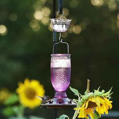 Kingsyard Hummingbird Feeder - 24 oz Outdoor Nectar Feeder with 6 Ports & Ant Moat | Easy Clean Purple