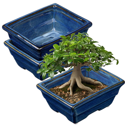 Villa Como Bonsai Pots Shallow Succulent Planters for Live Bonsai Trees Set of 2, 6.3" Ceramic Pot for Succulents Indoor with Drainage Hole, Outdoor Cactus Plant Bonsai Pot, Ceramic Flower Pot
