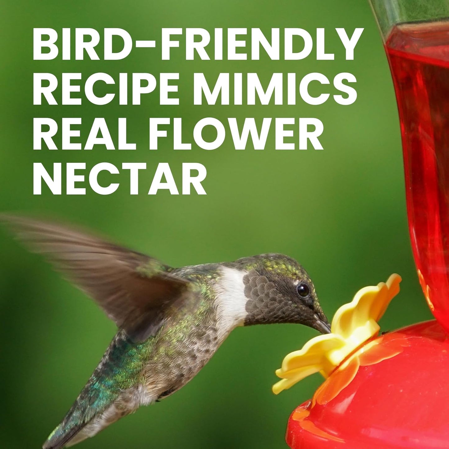 Perky-Pet Hummingbird Nectar Concentrate - 32 oz | Makes 96 FL OZ of Red Nectar for Feeders