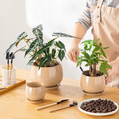 vancasso 3-Pack Ceramic Plant Pots, 3.7/4.8/6.2 Inch Indoor Planters with Saucers & Drainage Hole Planter pots for Indoor Plants and Flower, Brown