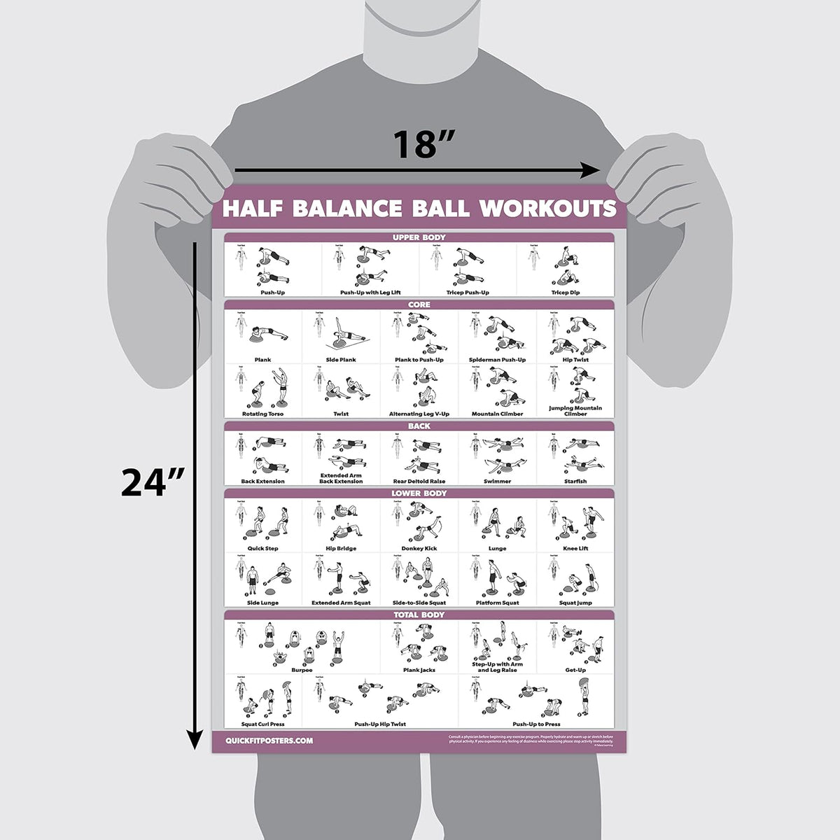 Palace Learning Half Balance Ball Workout Poster - Laminated Exercise Chart (18" x 24")