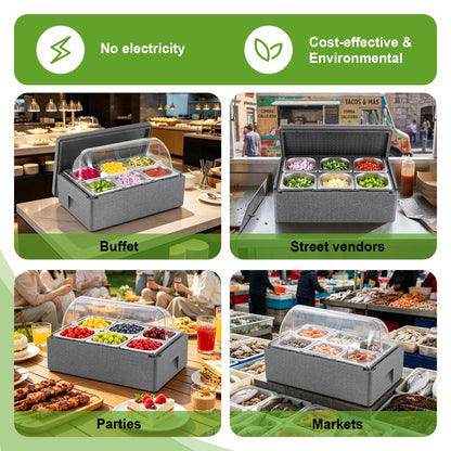 Tragaomx Insulated Cold Food Buffet Ice Serving Tray with Lid Insulation Box 6 Pans 2 Ice Packs Cooled Condiment Serving Container Ice Platter Food Cooler For Parties Buffets Fruit
