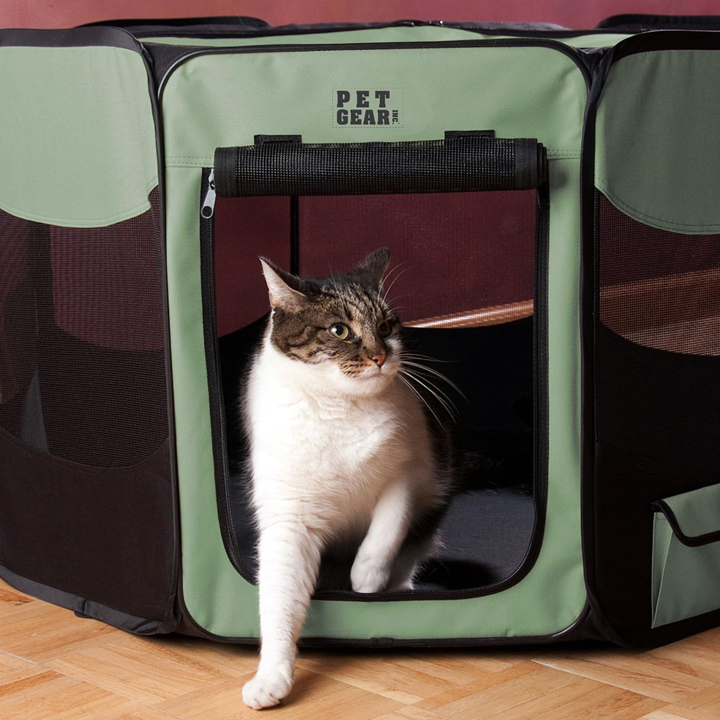 Pet Gear Octagon Pet Pen with Removable Top for Cats and Dogs up to 90-pounds, 46-inches, Willow