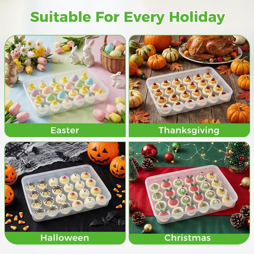 HANSGO Deviled Egg Containers with Lid, Deviled Egg Tray Holder Carrier with Lid for 24 Eggs for Home Party Kitchen Supplies Refrigerator Storage