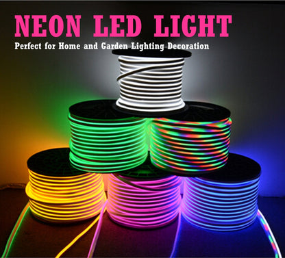 IEKOV LED NEON Light, AC 110-120V Flexible LED Neon Strip Lights, 120 LEDs/M, Dimmable, Waterproof 2835 SMD LED Rope Light + Remote Controller for Party Decoration (98.4ft/30m, Green)
