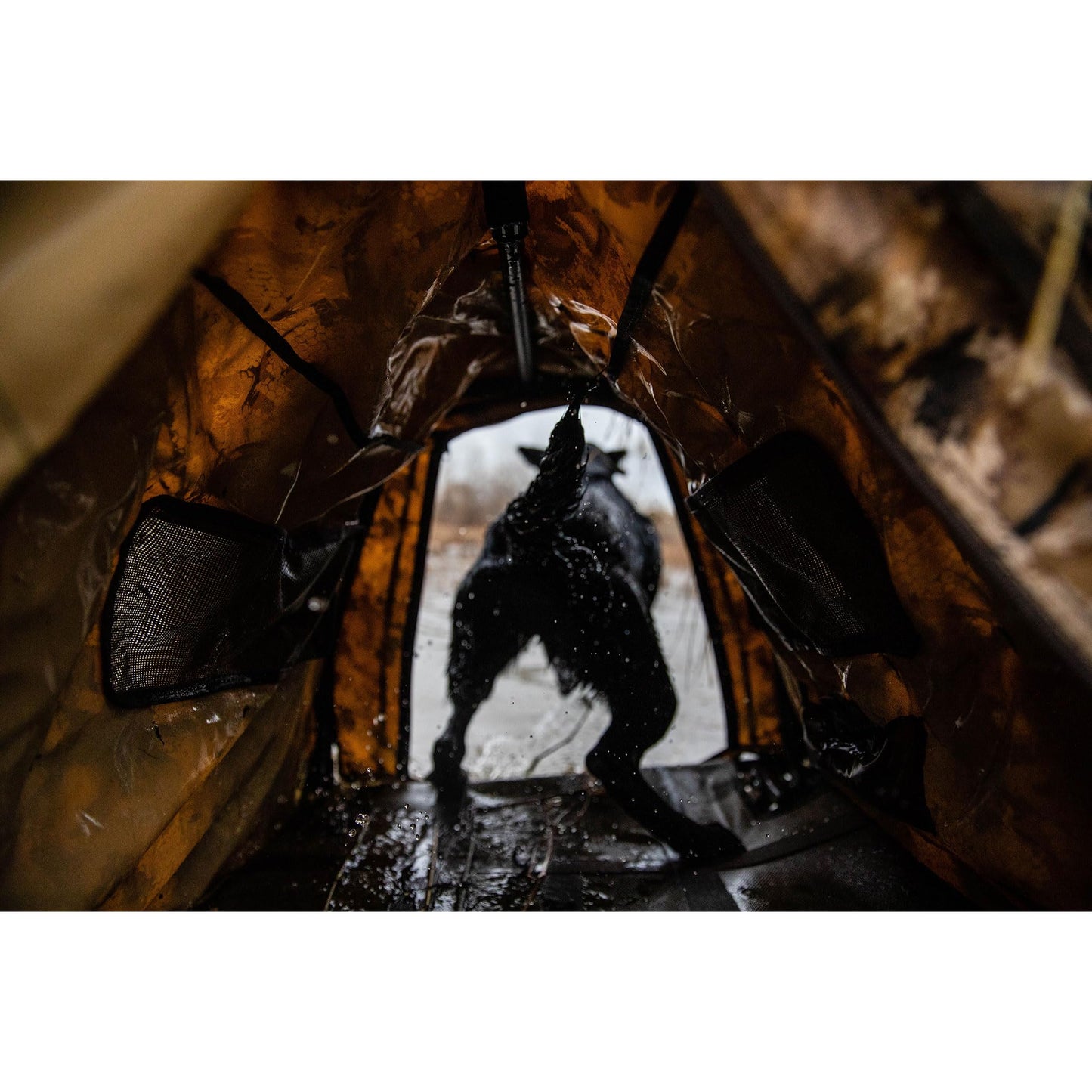 Momarsh Invisi Lab Dog Blind for Waterfowl Hunting | Adjustable Pet Blind for Dry or Wet Land Hunting & Training | Water Resistant Shell with Mesh Draining Bottom | Optifade Marsh