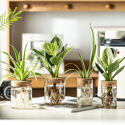 Glass Plant Propagation Stations for Plants – Set of 4(2 Large & 2 Small) Hydroponic Vases for Plant Cuttings,Flower Arrangements, Home & Office Decor–Desktop Vases for Living Room, Bedroom (4)