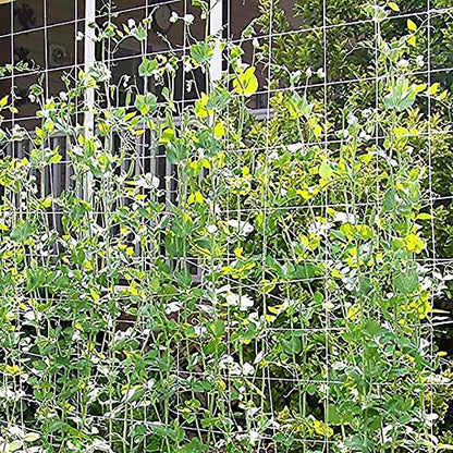 mychoiii Professional Garden Trellis Netting Bulk Roll 6.5ft x 3280ft - Heavy Duty Plant Support Net for Climbing Vegetables, 6" Mesh Scrog Netting for Grow Tent Cucumber Tomato Grape Vine Hydroponic