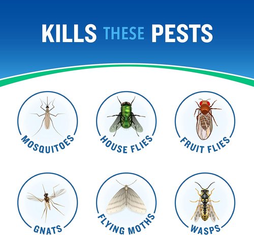 Cutter Essentials Outdoor Fogger - Safe for Kids & Pets | Kills Mosquitoes, Fleas & Ants - 14 fl Ounce