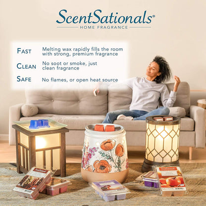 ScentSationals Tropical Fiesta Scented Wax Melts - Pineapple, Berries, & Kiwi, 10oz (24 Cubes)