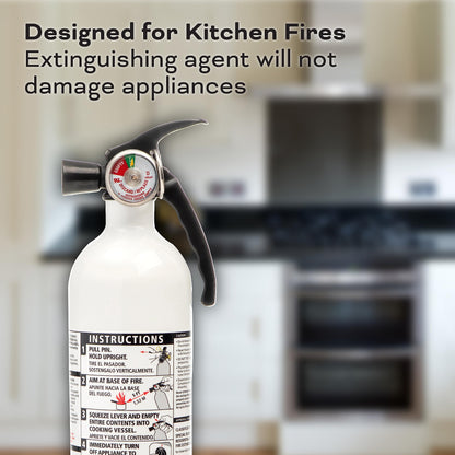 Kidde Kitchen Fire Extinguishers for Home & Office Use, 2 Pack & Fire Extinguisher for Home, 1-A:10-B:C, Dry Chemical Extinguisher, Red, Mounting Bracket Included, 2 Pack