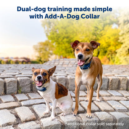 PetSafe 900 Yard Remote Training Collar Choose from Tone, Vibration, or 15 Levels of Static Stimulation Longest Range Option for Training Off Leash Dogs Waterproof and Durable Rechargeable