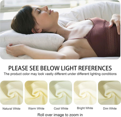 NTBAY Pillowcase Set - 2 Pack Soft Brushed Microfiber Aqua Pillowcases | Wrinkle-Free & Fade-Resistant - 20x26 Inches