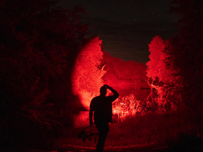 Elusive Wildlife 3-in-1 Hunting Headlamp Kit – Red Green White LEDs, 250+ Yard Long Range High Power Headlight for Hog & Predator Hunting, Camping & Hiking, Zoomable Dimmable LED
