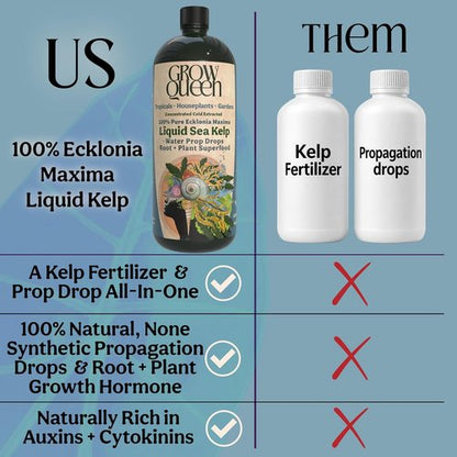 Ecklonia Maxima Organic Liquid Kelp & Seaweed Extract - Root Growth Hormone & Plant Food | 8oz for Hydroponics & Soil