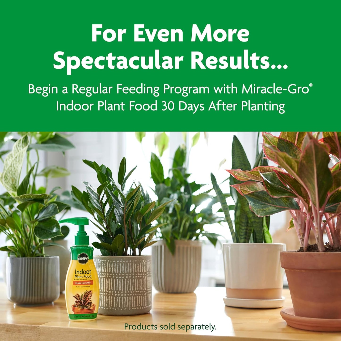 Miracle-Gro Indoor Potting Mix - Nutrient-Rich Blend for Houseplants | 6 Qt. | 2-Pack