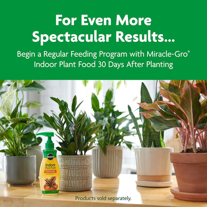 Miracle-Gro Indoor Potting Mix - Nutrient-Rich Blend for Houseplants | 6 Qt. | 2-Pack