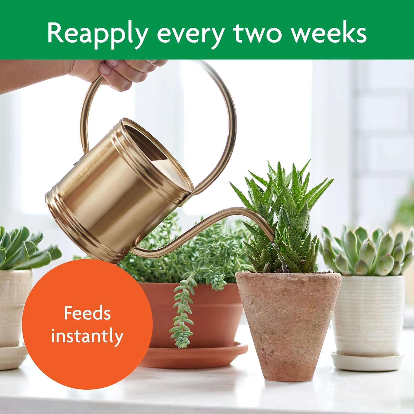 Miracle-Gro Succulent Plant Food - Liquid Fertilizer for Jade & Aloe - 8 fl. oz. (2 Pack) | Feed Every 2 Weeks