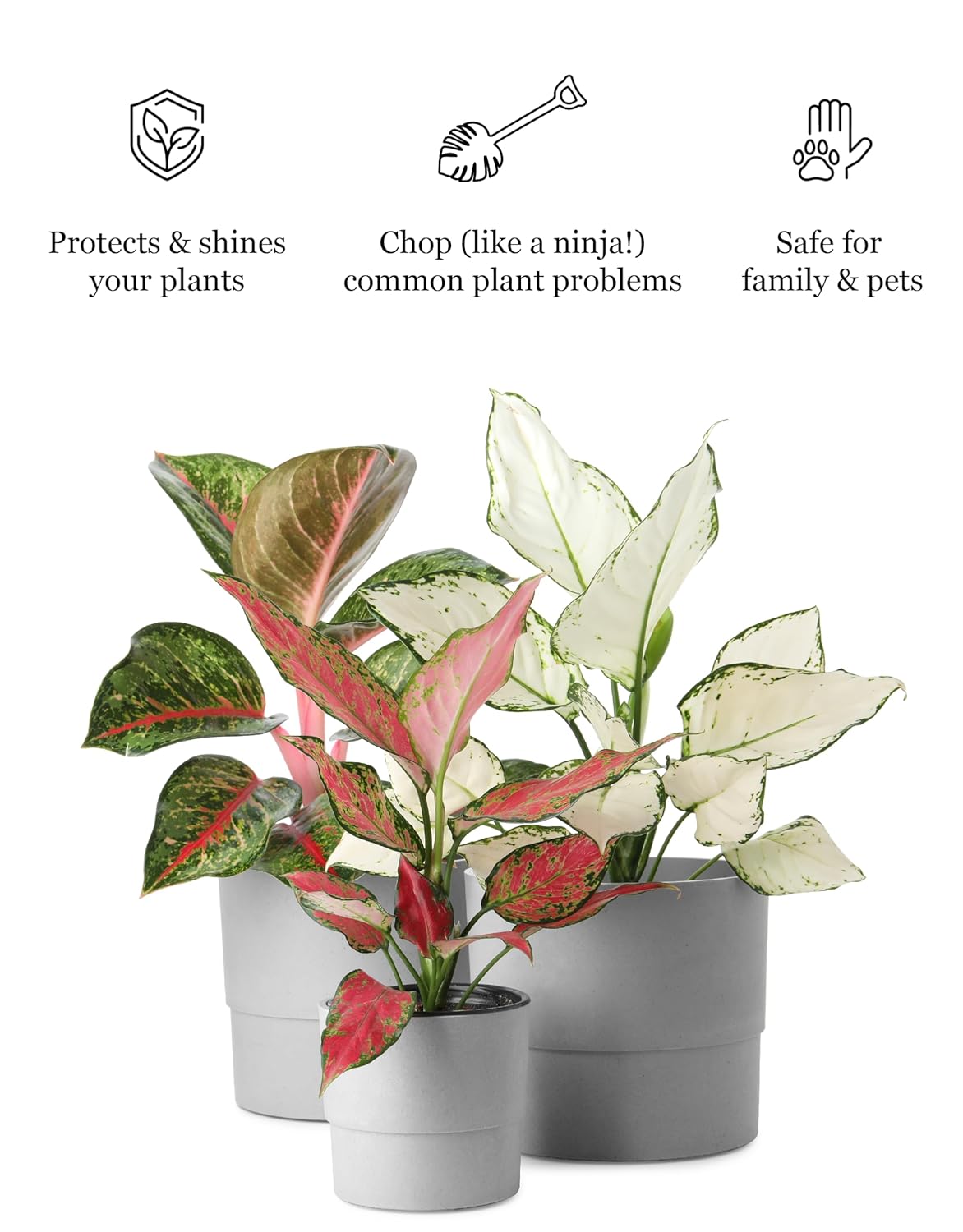 Plant & Leaf Spray - Non-Toxic Leaf Shine & Protector | Eco-Friendly Formula for Indoor Plants | Handcrafted, Women-Owned