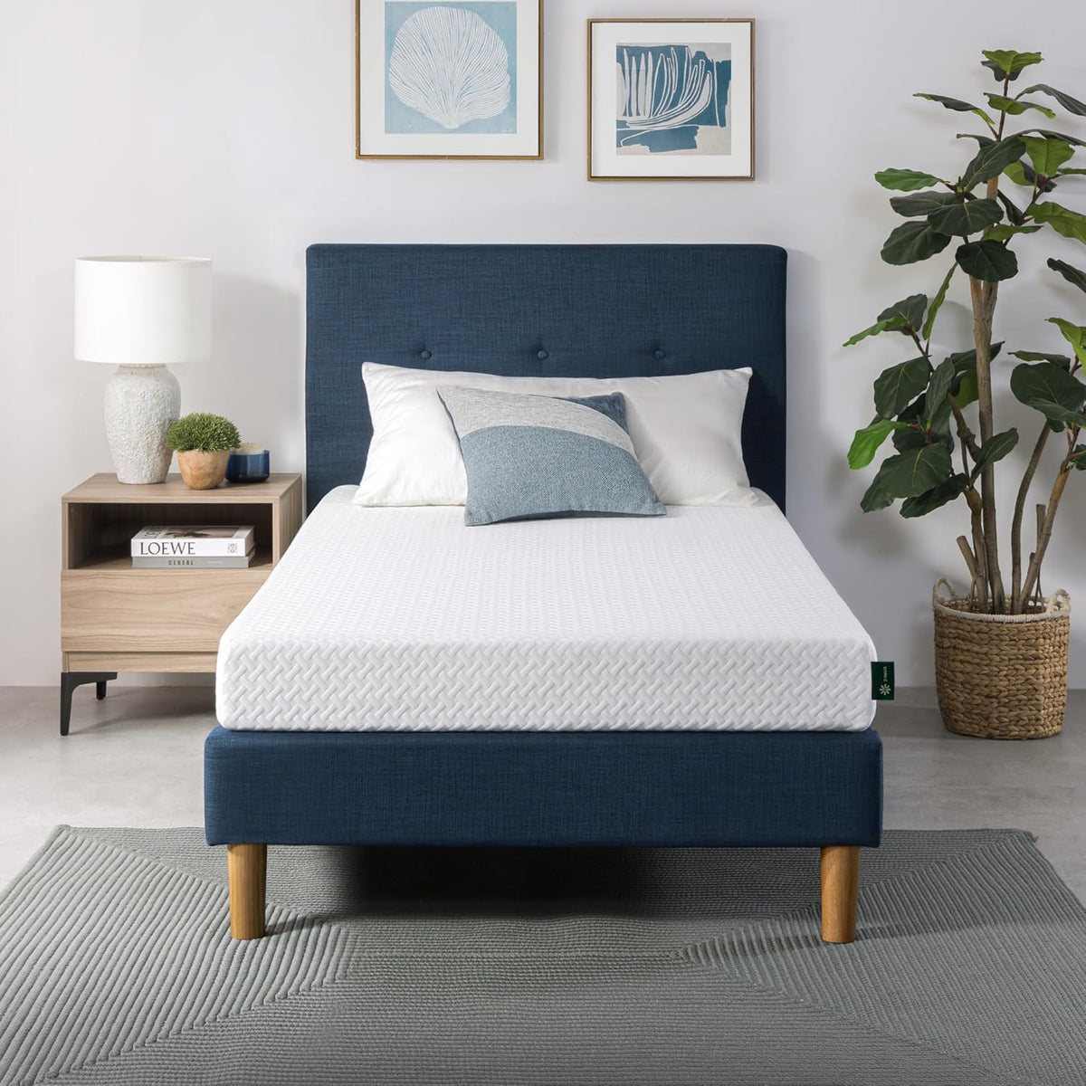 ZINUS 6 Inch Twin Memory Foam Mattress - Cooling Essential Design, Medium Feel, Fiberglass Free, Safe Materials