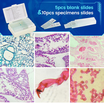 Binocular Microscope 40X-1000X LED Lighting for Kids Students Adults School Lab Home Education with Microscope Slides Set,Phone Adapter