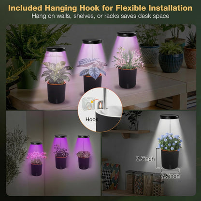 Raygrov Self-Watering Planter with Grow Light — Cute Desk Plant Pot for Office, Bedroom & Window — No Green Thumb Needed, 2-in-1 Wall + Desktop, USB Powered (5W LED, White)