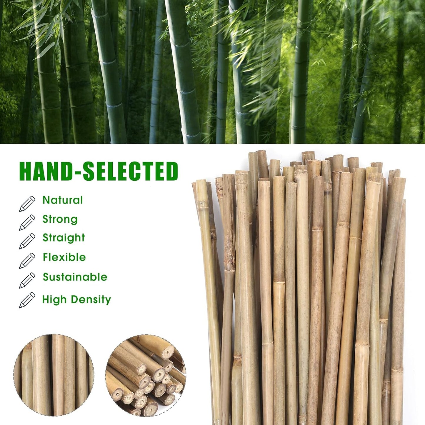 Bamboo Garden Stakes - 4 Feet Tall | 65 Pcs Durable Plant Supports for Tomatoes, Beans & Flowers