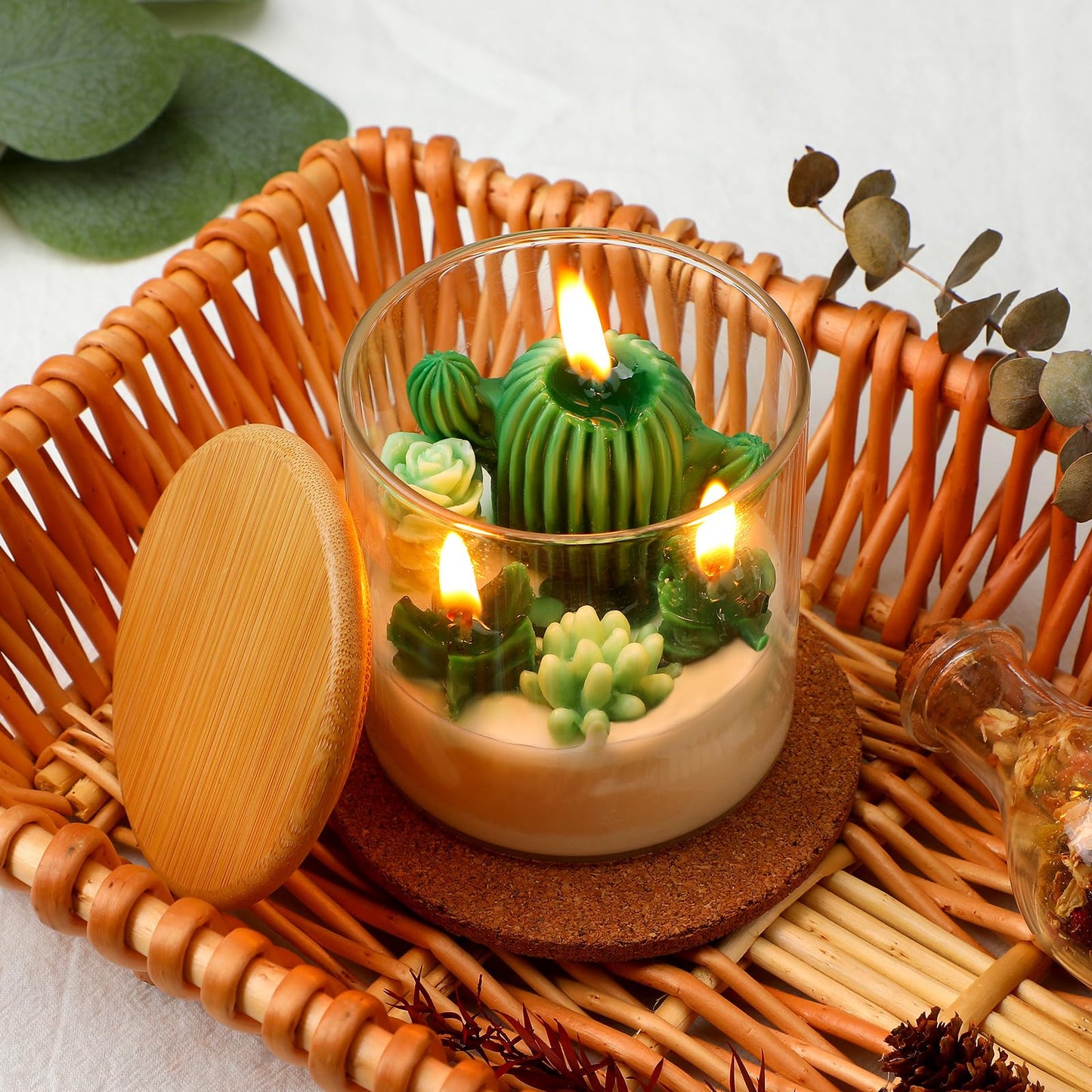 Tondiamo Succulent Cactus Candles Gift,3.15 Inch Scented Decorative Terrarium Plant Candles Votive for House Warming Wedding Baby Shower Spa Home Decoration Teacher Appreciation Mothers Gifts