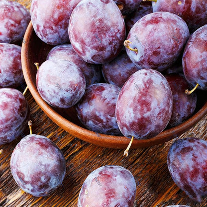 10 Prunus Domestica Seeds for Planting, Perennial Plum Fruit Tree Seed, Non-GMO Fruit Tree Seeds for Home Garden, Potted Decoration