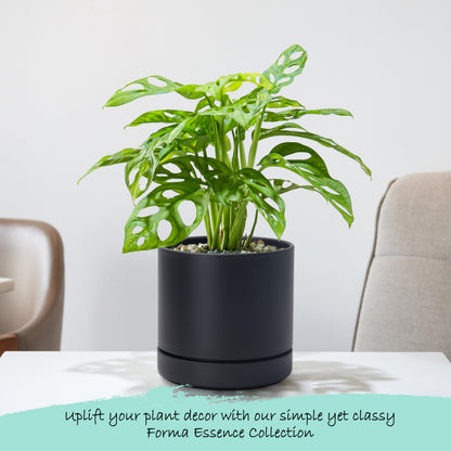 Phoenix Vine 6 Inch Planter Pot with Drainage Hole & Saucer, Deep Water Catch Tray, Straight Cylindrical Round Pot for Plants, Matte Black, Pack of 3, 23-C-S-3