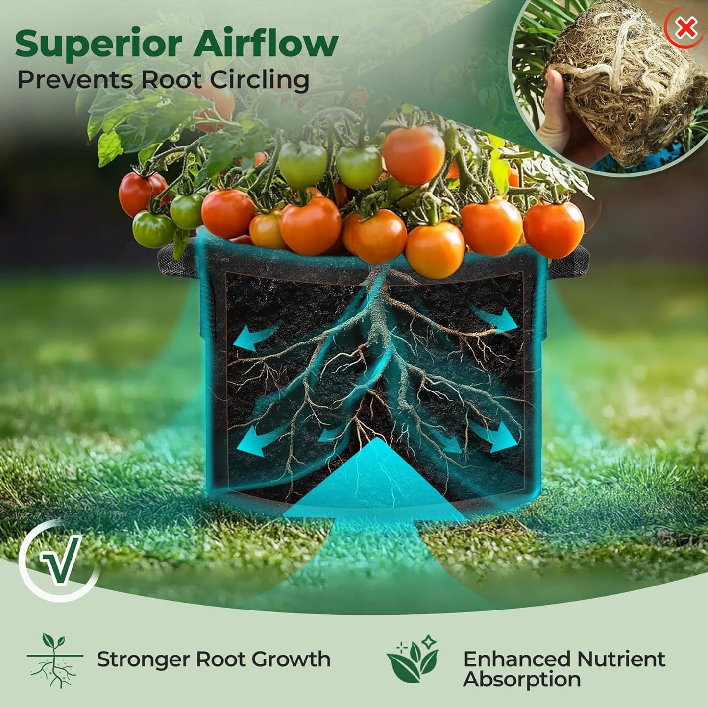 T4U 1 Gallon Grow Bags - Heavy Duty Nonwoven Fabric Pots with Handles | Perfect for Herbs & Plants (5 Pack)