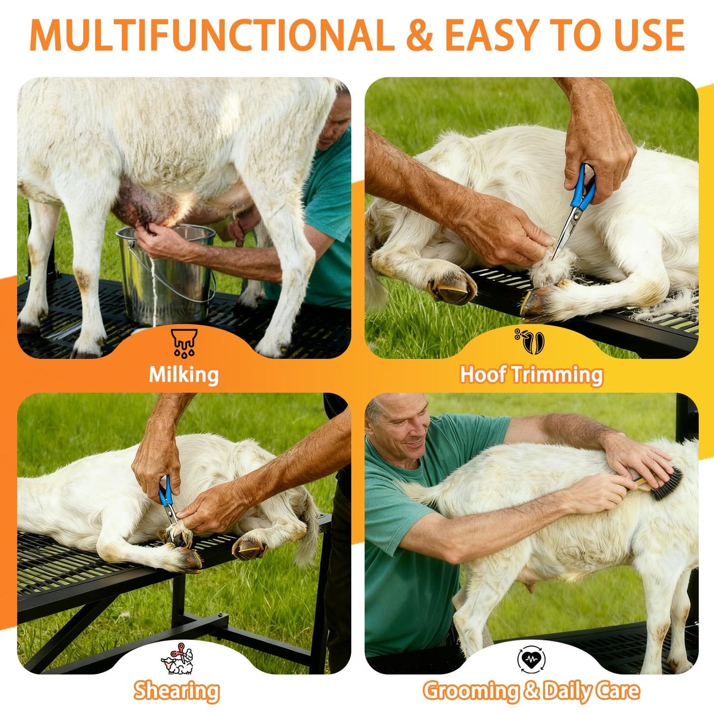 Wepepy Upgrade Goat Milk Stand with Feed Bin, 600lbs Goat Stand for Grooming & Hoof Trimming, 1mm Thick Platform & Anti-Slip Design, Goat Grooming Stand with Firm Head Lock and Adjustable Head