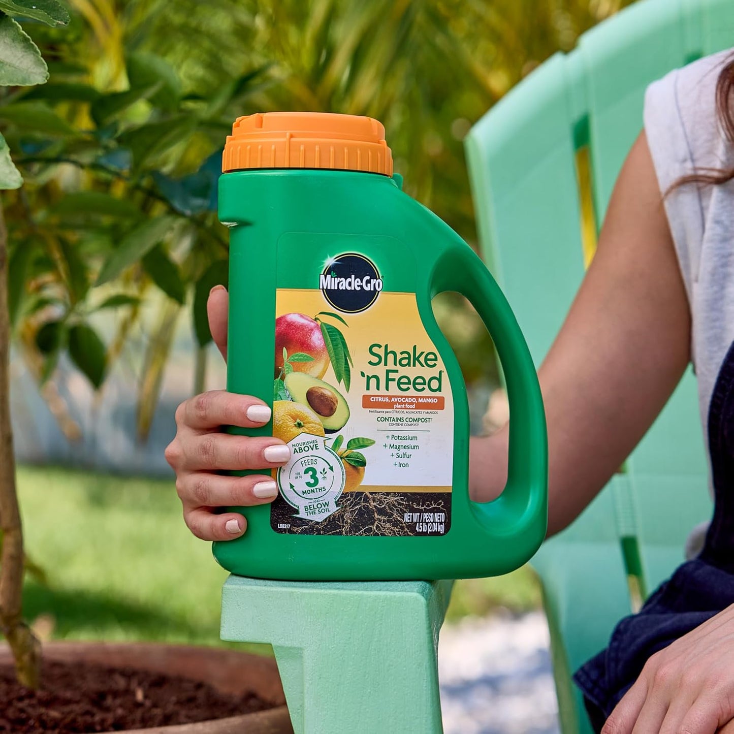 Miracle-Gro Shake 'N Feed Plant Food - Nourishing Citrus, Avocado & Mango Trees | 4.5 lbs