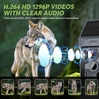 WOSPORTS Solar WiFi Trail Camera with 7800mAh Built-in Battery, 48MP Game Camera for 24/7 Wildlife Security, 0.1s Trigger, IP66 Waterproof Wildlife Cameras with 8 AA Batteries & 64GB SD Card