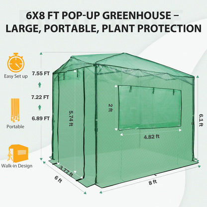 EAGLE PEAK 8x6 Portable Walk in Greenhouse, Pop Up Indoor Outdoor Greenhouse, Green House Kit with Zippered Roll-Up Doors and Windows, PE Cover, Clear/Green