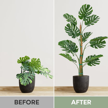 K-Brands 3 Pack Bendable Moss Pole | 48'' Monstera Plant Support for Indoor Climbing Plants