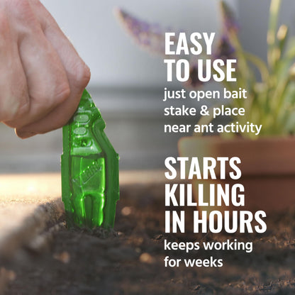 TERRO Liquid Ant Baits - T1813B - Outdoor Ready-to-Use Terro Ant Traps, Kills Household Ants, 12 Stakes (Pack of 12)