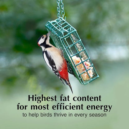 C&S Peanut Butter Delight Suet Cakes - No Melt Formula for Wild Birds | 8 Pack for Wrens, Cardinals & More