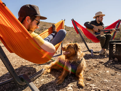 KAMMOK: Swiftlet Portable Stand & Roo Double Sunflower Gold Hammock Set