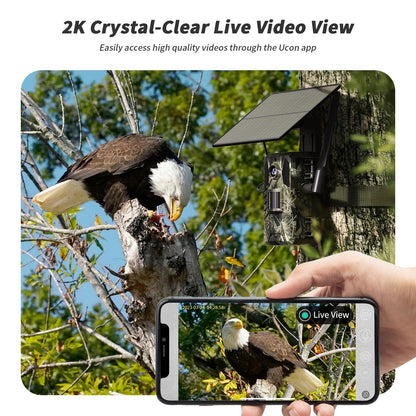 SEHMUA Trail Camera 2 Packs, AI Animal Detection Game Camera Built-in SIM Card 4G LTE Cellular Trail Cameras with Night Vision Motion Activated Waterproof IP66 with Unlimited Data Plan 2K Live View