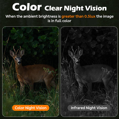 4G LTE Cellular Trail Camera with Pre-installed SIM Card, 2K Live Streaming, Solar Powered, Low Glow Night Vision, Remote Access, Motion Activated, Two-Way Audio Game Camera for Outdoor Security